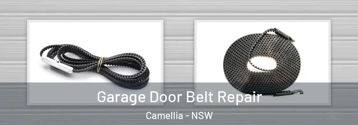  Garage Door Belt Repair Camellia - NSW