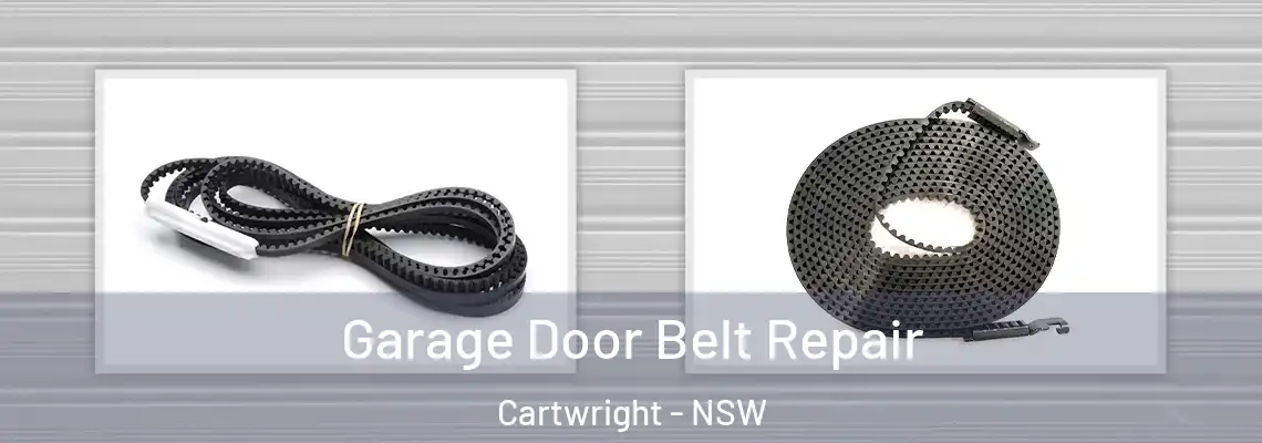 Garage Door Belt Repair Cartwright - NSW