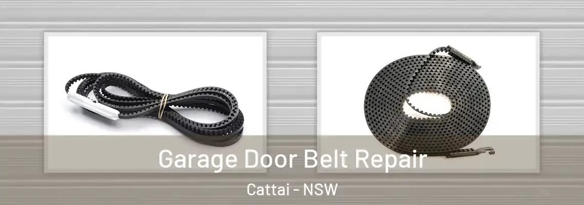 Garage Door Belt Repair Cattai - NSW