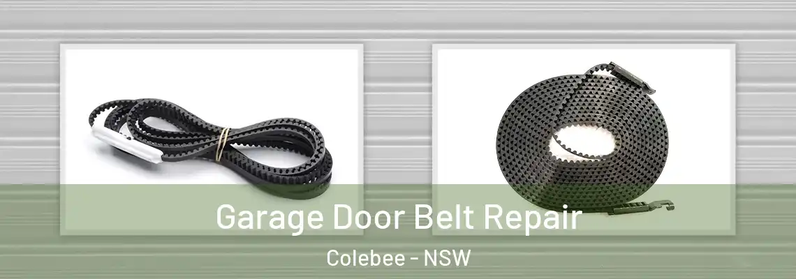 Garage Door Belt Repair Colebee - NSW