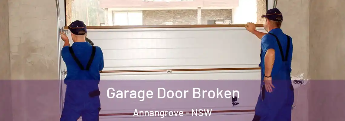 Garage Door Broken Annangrove - NSW