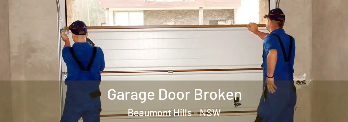 Garage Door Broken Beaumont Hills - NSW
