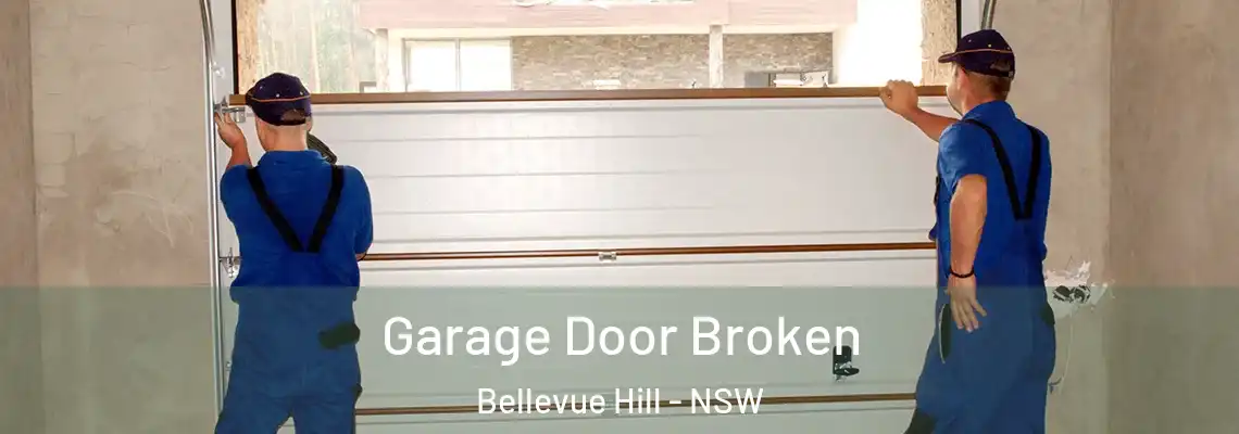 Garage Door Broken Bellevue Hill - NSW