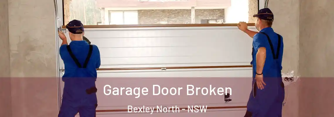 Garage Door Broken Bexley North - NSW