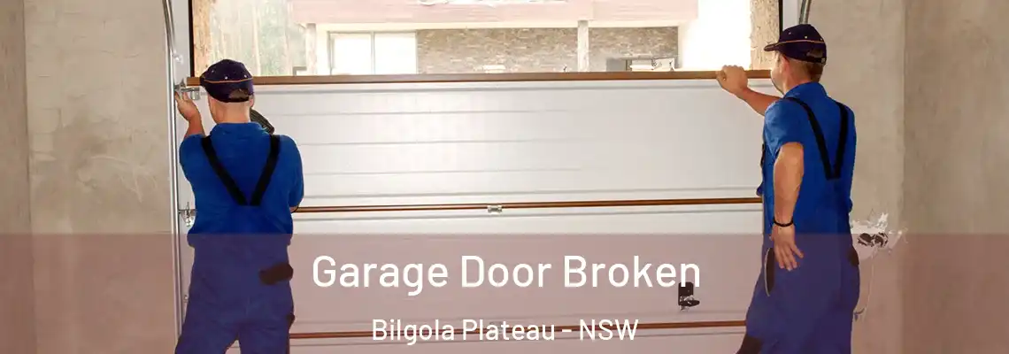 Garage Door Broken Bilgola Plateau - NSW