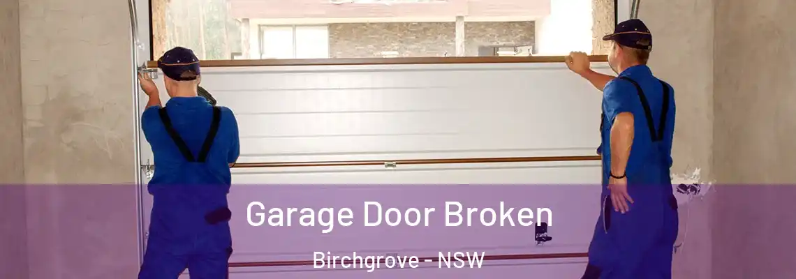 Garage Door Broken Birchgrove - NSW