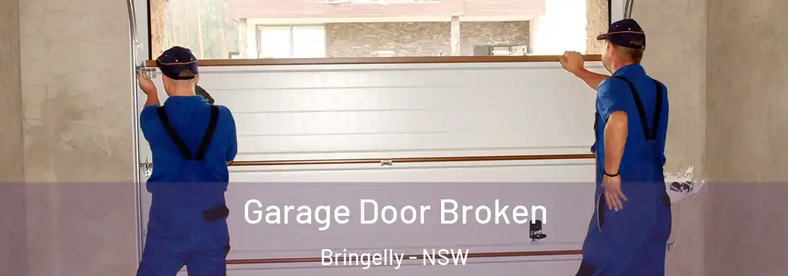 Garage Door Broken Bringelly - NSW