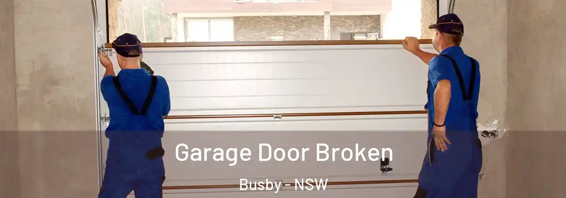 Garage Door Broken Busby - NSW