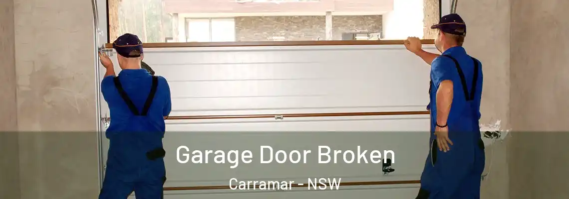 Garage Door Broken Carramar - NSW