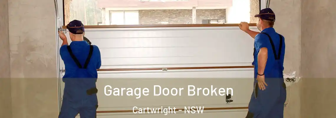 Garage Door Broken Cartwright - NSW