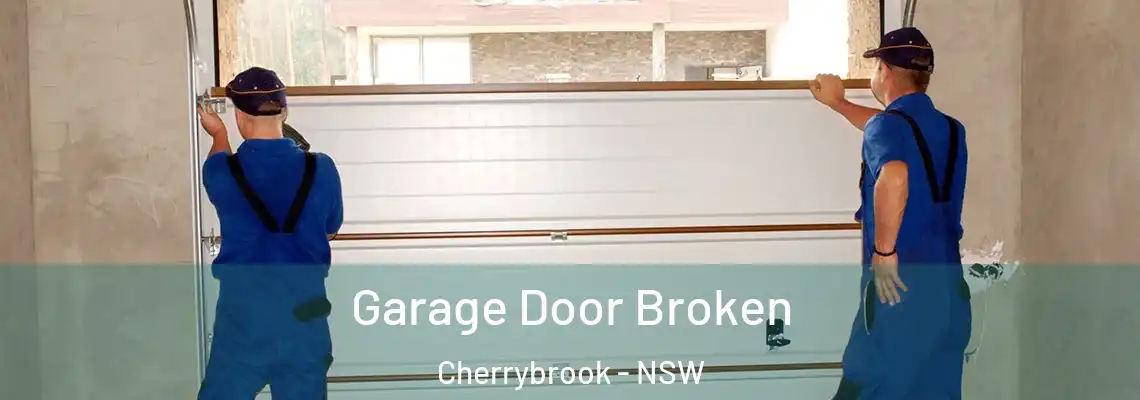 Garage Door Broken Cherrybrook - NSW