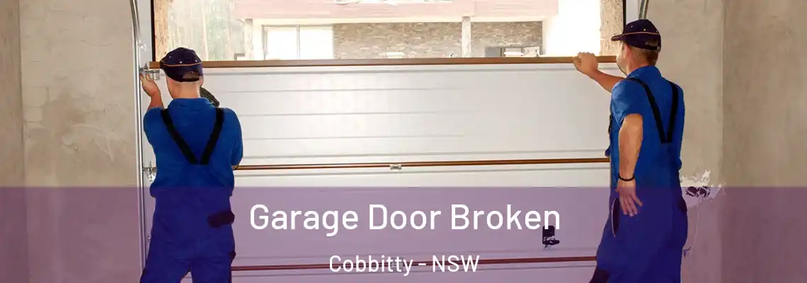 Garage Door Broken Cobbitty - NSW