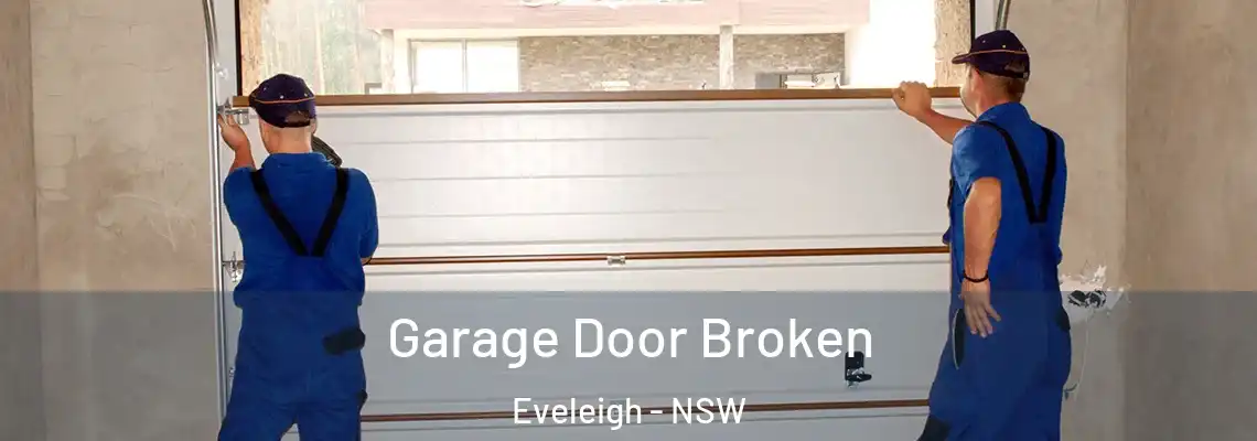 Garage Door Broken Eveleigh - NSW