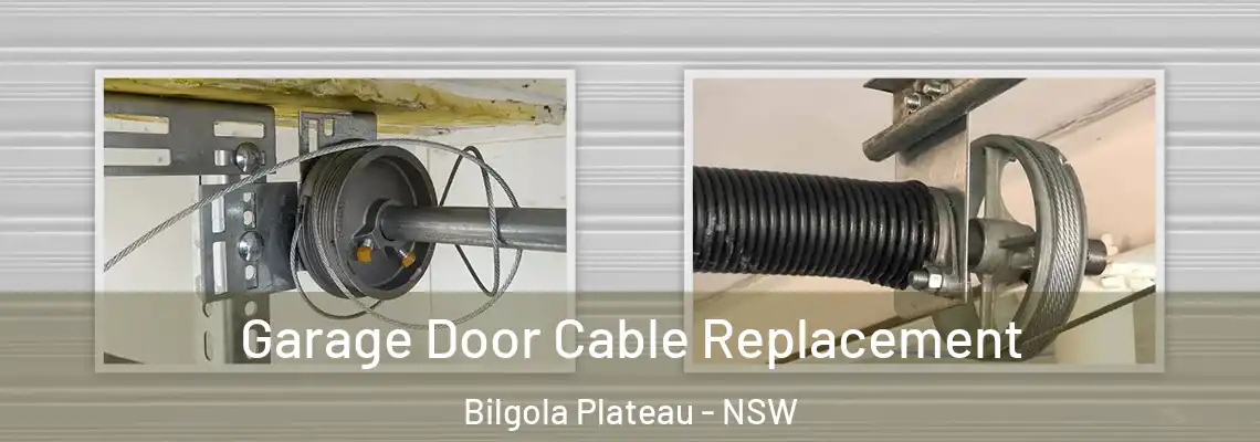 Garage Door Cable Replacement Bilgola Plateau - NSW
