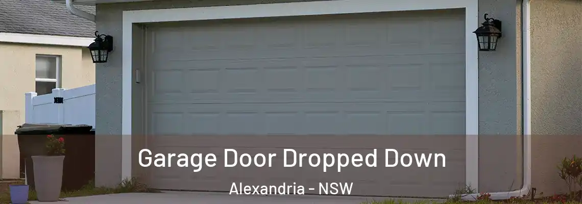 Garage Door Dropped Down Alexandria - NSW
