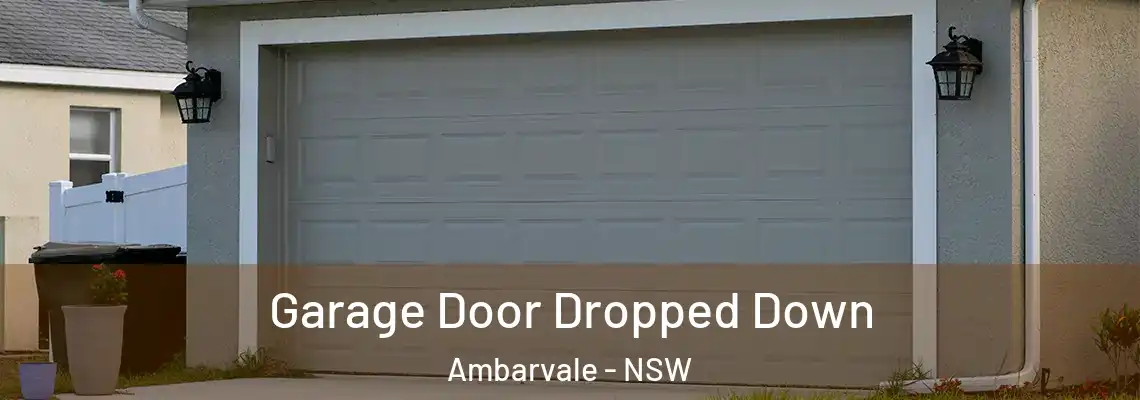 Garage Door Dropped Down Ambarvale - NSW