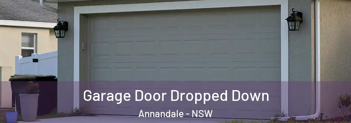 Garage Door Dropped Down Annandale - NSW