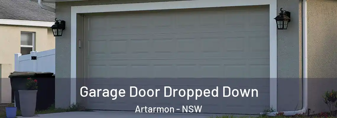 Garage Door Dropped Down Artarmon - NSW