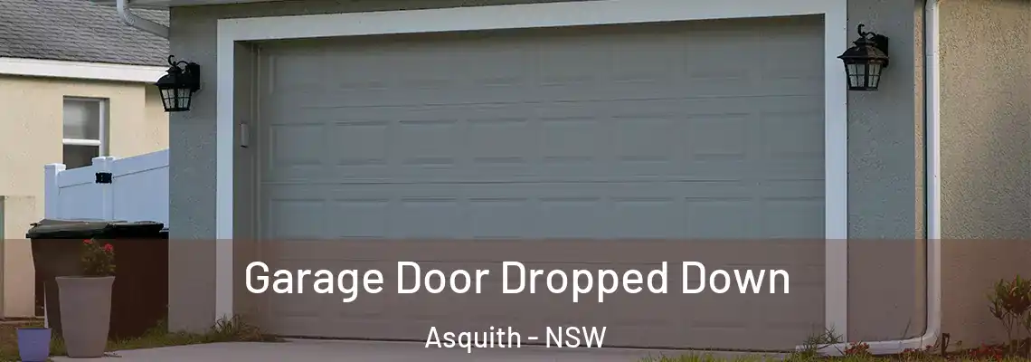 Garage Door Dropped Down Asquith - NSW