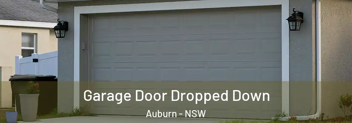  Garage Door Dropped Down Auburn - NSW