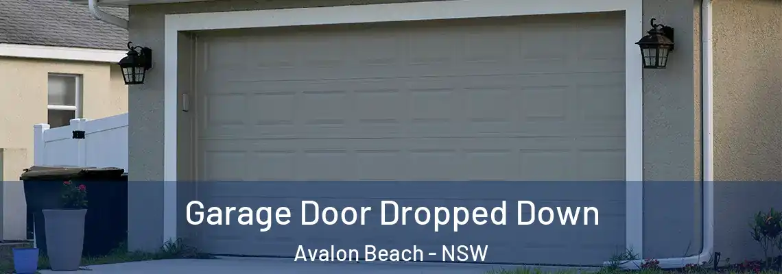 Garage Door Dropped Down Avalon Beach - NSW