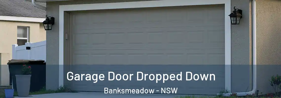 Garage Door Dropped Down Banksmeadow - NSW
