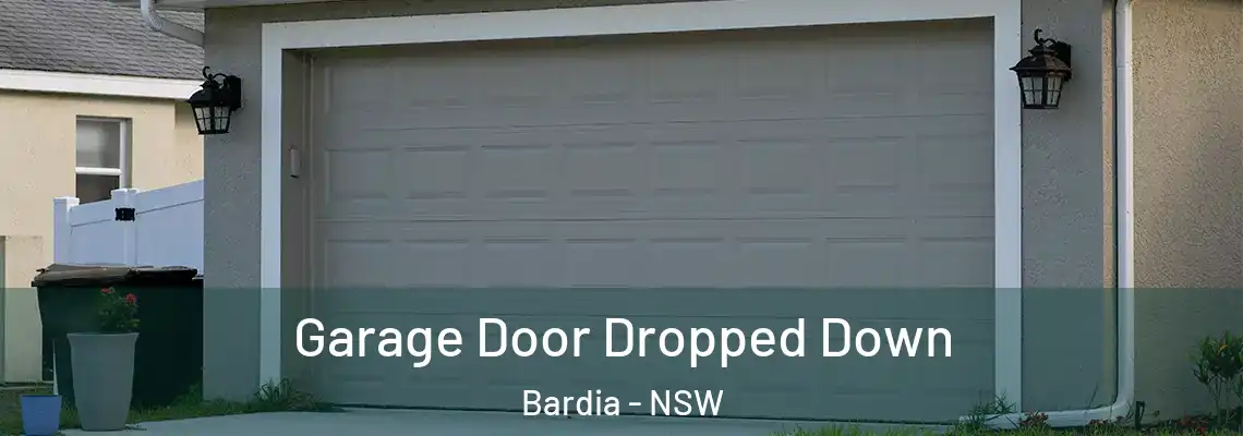 Garage Door Dropped Down Bardia - NSW