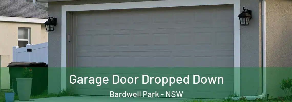  Garage Door Dropped Down Bardwell Park - NSW