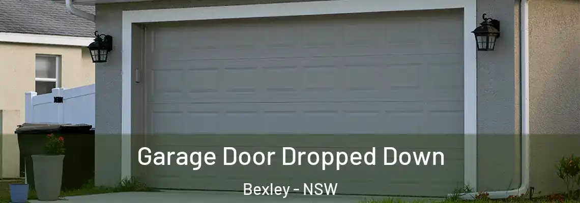 Garage Door Dropped Down Bexley - NSW