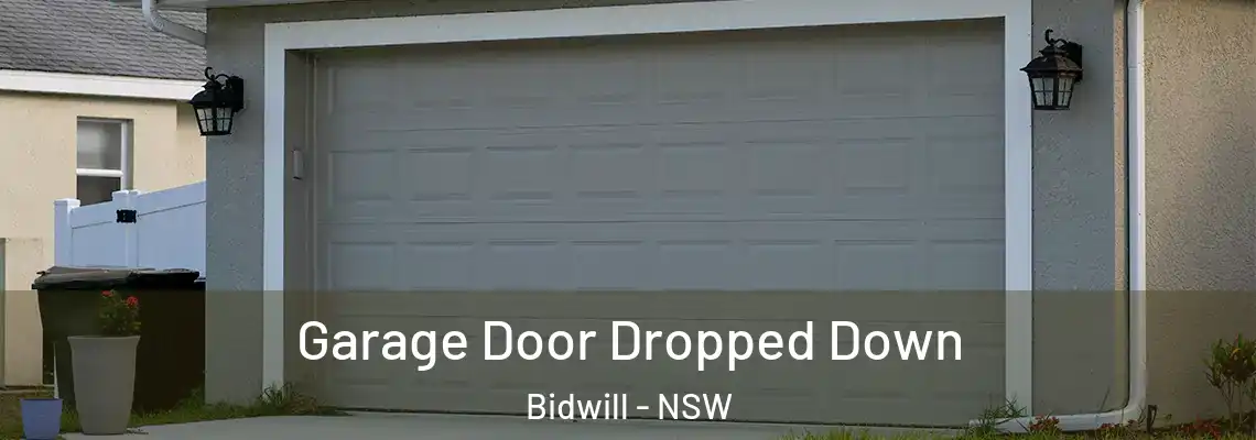Garage Door Dropped Down Bidwill - NSW