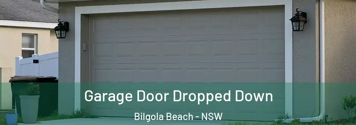 Garage Door Dropped Down Bilgola Beach - NSW