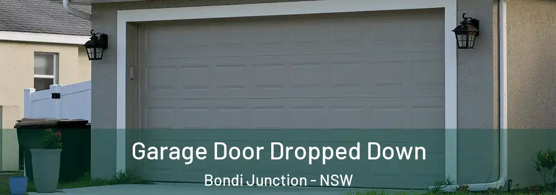Garage Door Dropped Down Bondi Junction - NSW