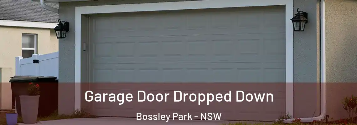 Garage Door Dropped Down Bossley Park - NSW