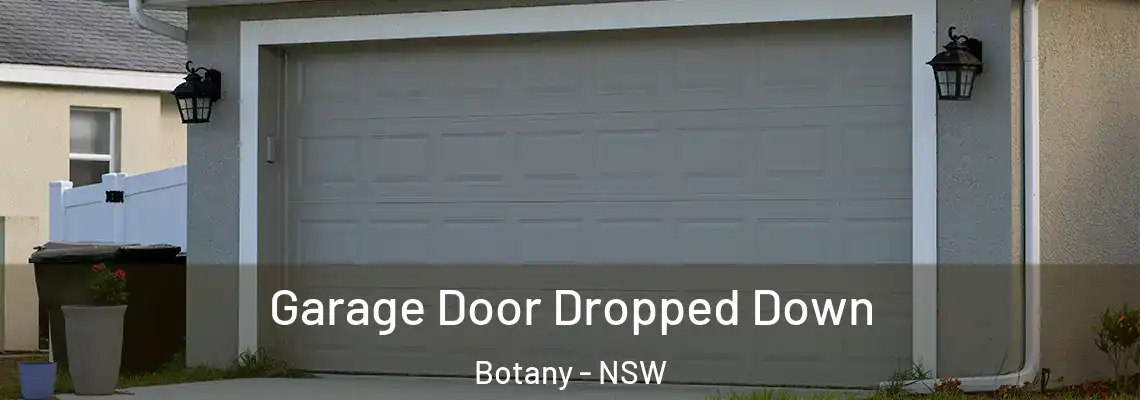 Garage Door Dropped Down Botany - NSW