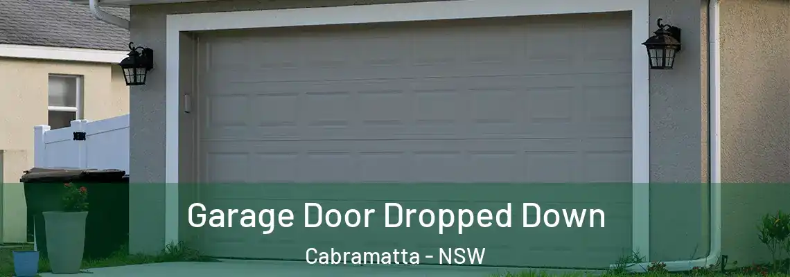 Garage Door Dropped Down Cabramatta - NSW