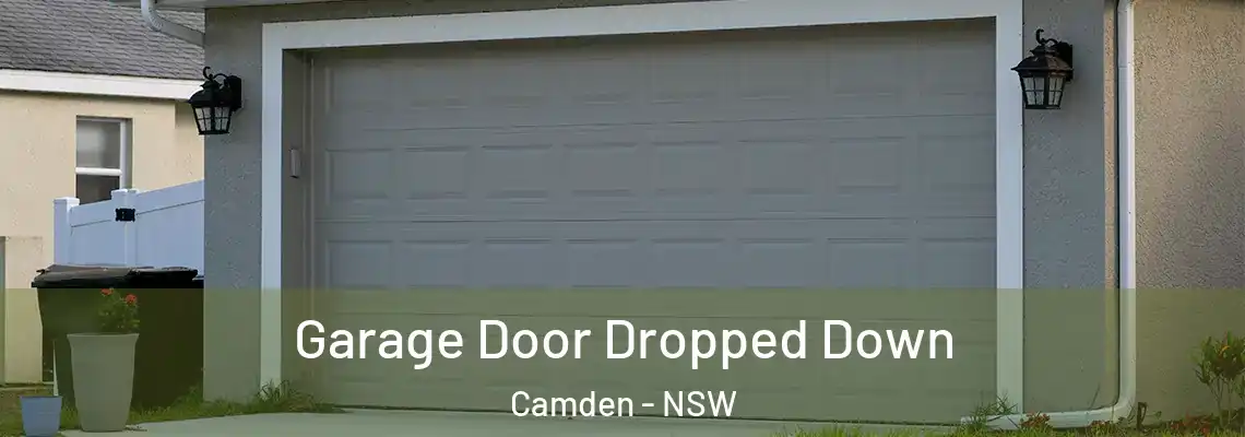 Garage Door Dropped Down Camden - NSW