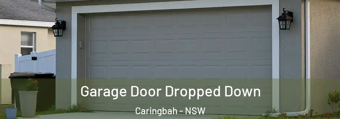 Garage Door Dropped Down Caringbah - NSW