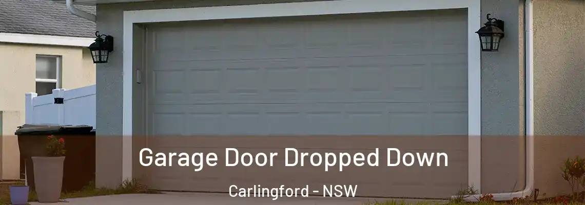 Garage Door Dropped Down Carlingford - NSW