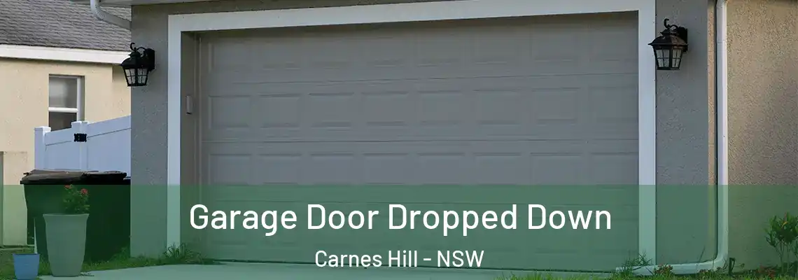  Garage Door Dropped Down Carnes Hill - NSW