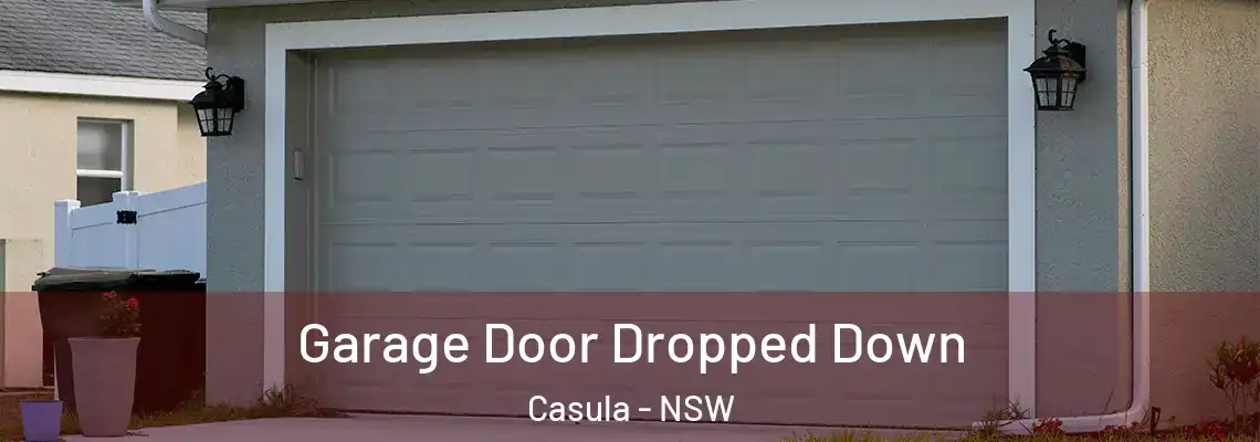 Garage Door Dropped Down Casula - NSW