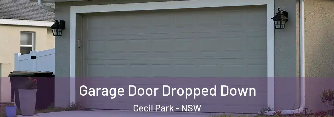 Garage Door Dropped Down Cecil Park - NSW