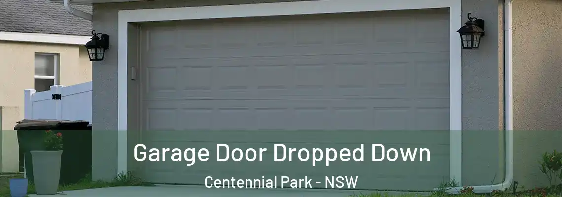 Garage Door Dropped Down Centennial Park - NSW