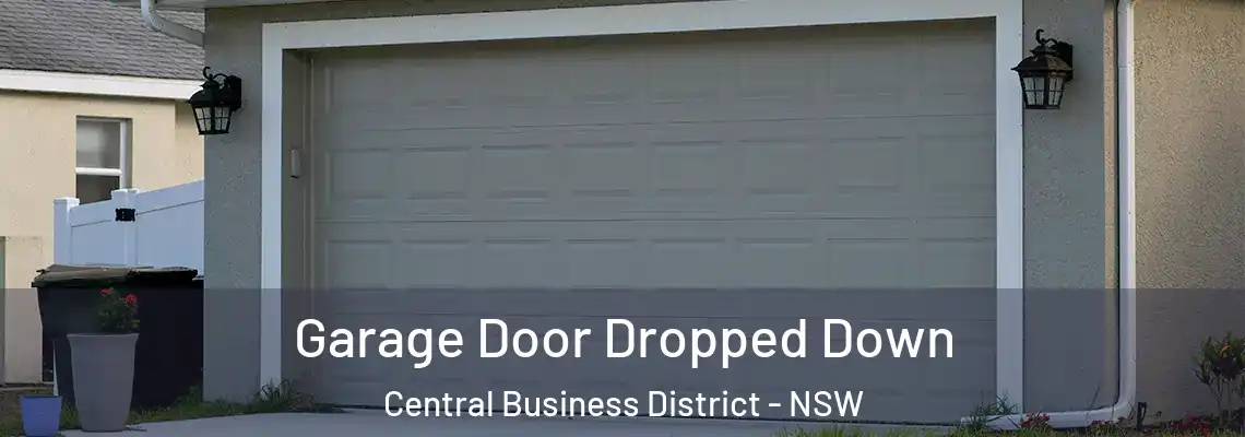  Garage Door Dropped Down Central Business District - NSW