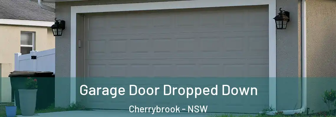 Garage Door Dropped Down Cherrybrook - NSW