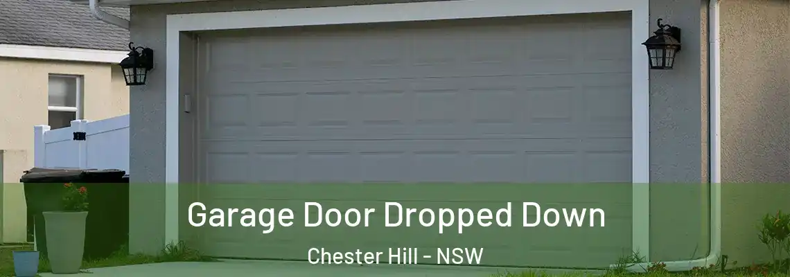Garage Door Dropped Down Chester Hill - NSW