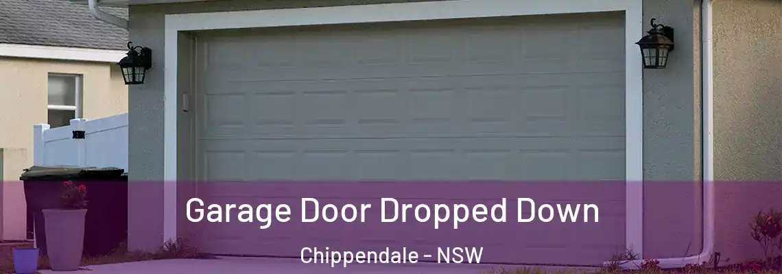 Garage Door Dropped Down Chippendale - NSW
