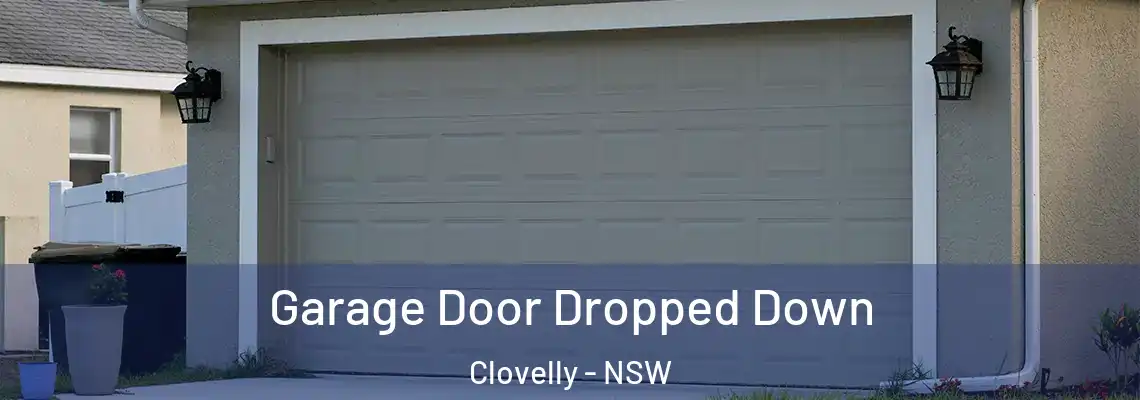 Garage Door Dropped Down Clovelly - NSW