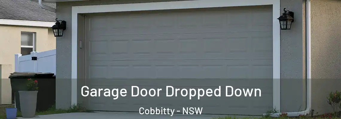 Garage Door Dropped Down Cobbitty - NSW