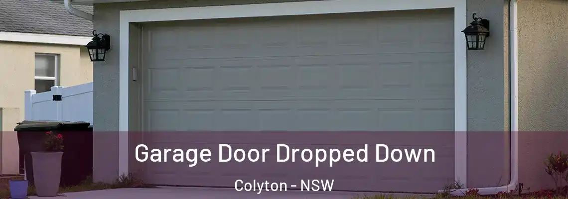 Garage Door Dropped Down Colyton - NSW