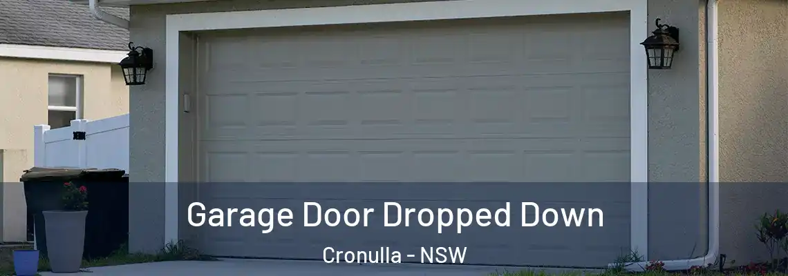 Garage Door Dropped Down Cronulla - NSW